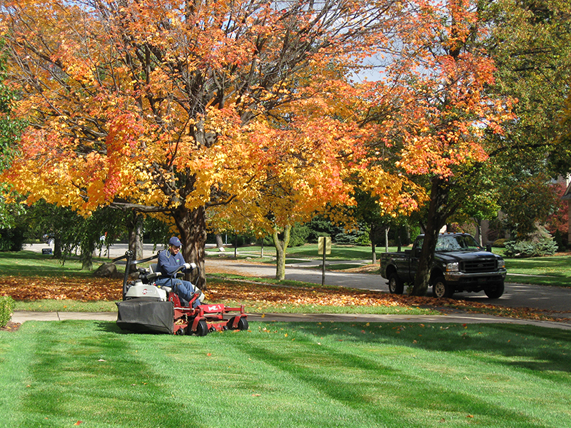 Lawn Care Eagan MN Homeowners Trust for Lush Results